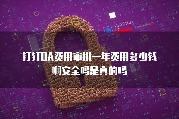 钉钉OA费用审批一年费用多少钱啊安全吗是真的吗
