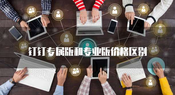 钉钉专属版和专业版价格区别