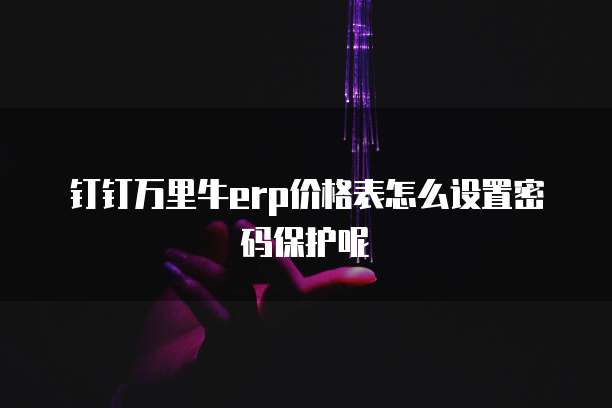 钉钉万里牛erp价格表怎么设置密码保护呢