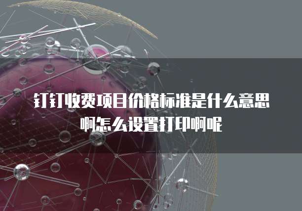 钉钉收费项目价格标准是什么意思啊怎么设置打印啊呢