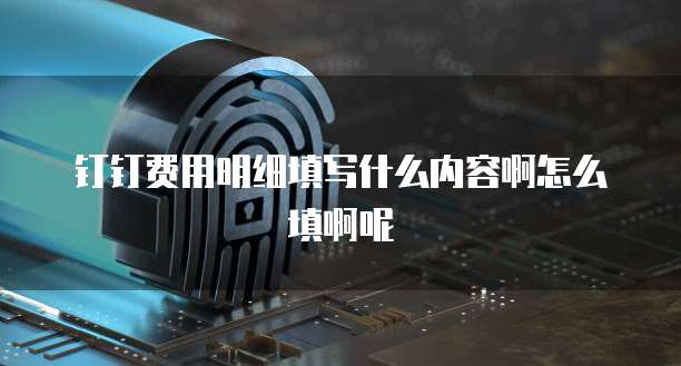 钉钉费用明细填写什么内容啊怎么填啊呢