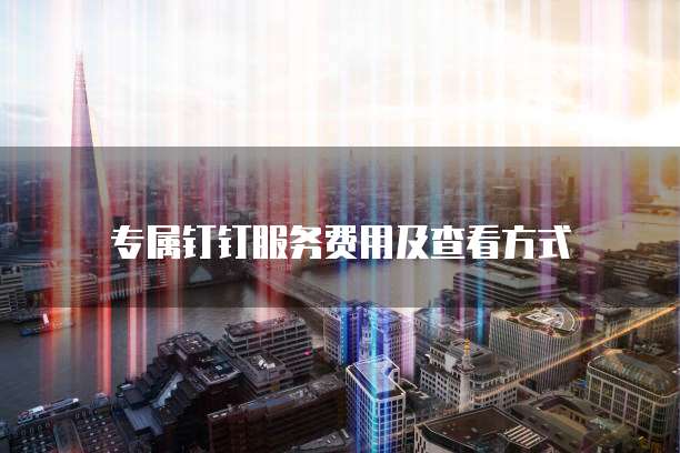 专属钉钉服务费用及查看方式