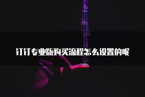 钉钉专业版购买流程怎么设置的呢