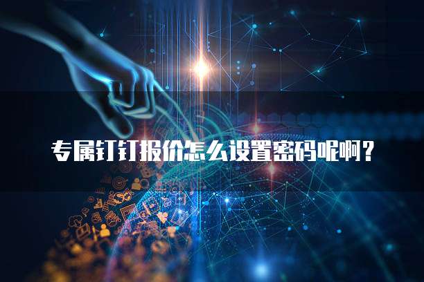 专属钉钉报价怎么设置密码呢啊?