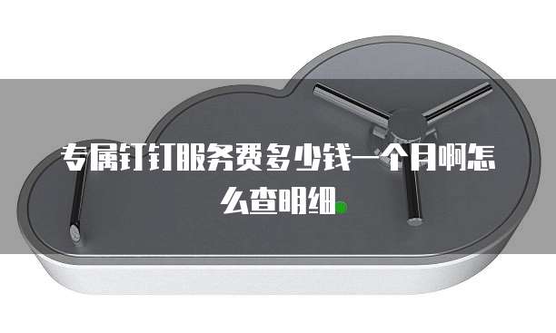 专属钉钉服务费多少钱一个月啊怎么查明细