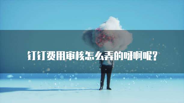 钉钉费用审核怎么弄的呀啊呢?