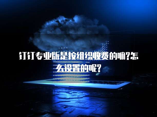 钉钉专业版是按组织收费的嘛?怎么设置的呢?
