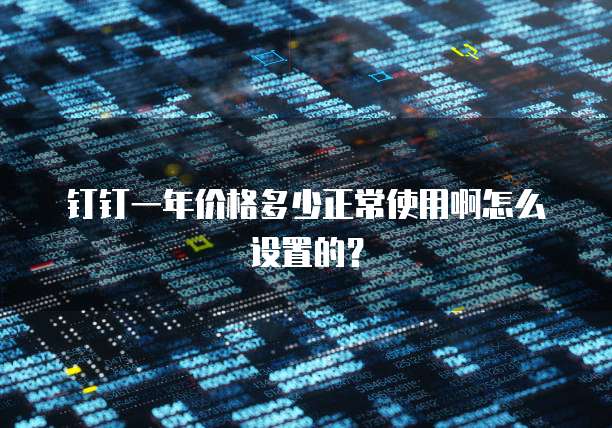钉钉一年价格多少正常使用啊怎么设置的?