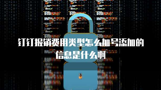 钉钉报销费用类型怎么加号添加的信息是什么啊