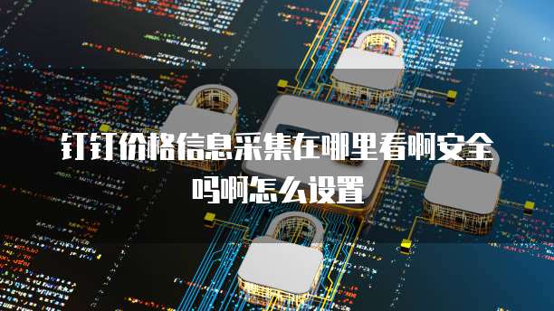钉钉价格信息采集在哪里看啊安全吗啊怎么设置