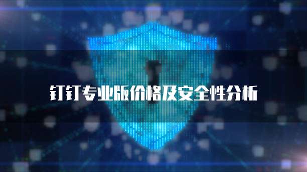 钉钉专业版价格及安全性分析