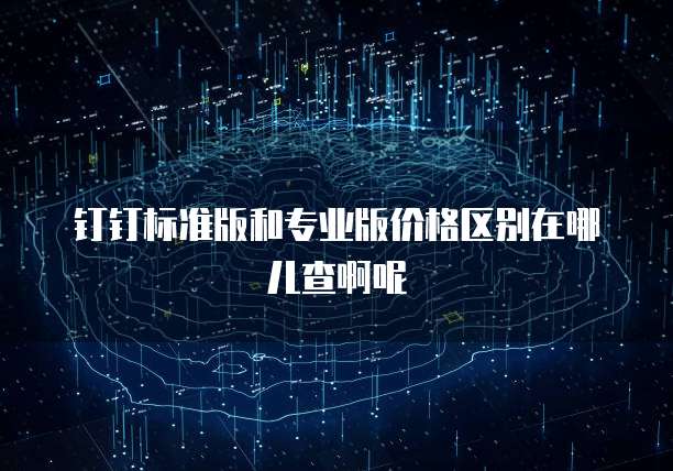 钉钉标准版和专业版价格区别在哪儿查啊呢