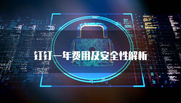 钉钉一年费用及安全性解析