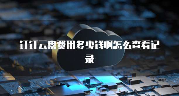 钉钉云盘费用多少钱啊怎么查看记录