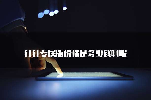 钉钉专属版价格是多少钱啊呢