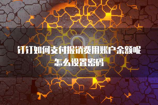 钉钉如何支付报销费用账户余额呢怎么设置密码