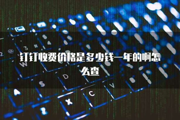 钉钉收费价格是多少钱一年的啊怎么查