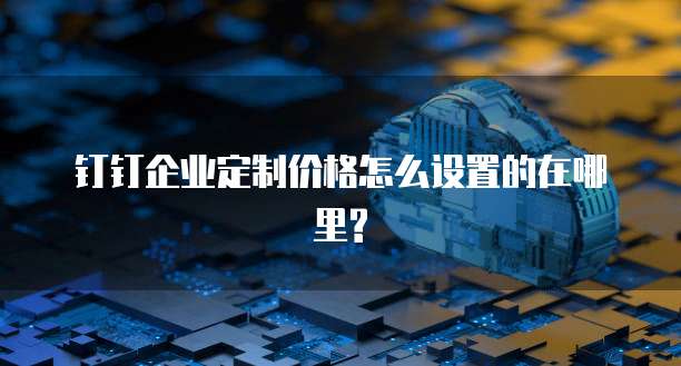 钉钉企业定制价格怎么设置的在哪里?