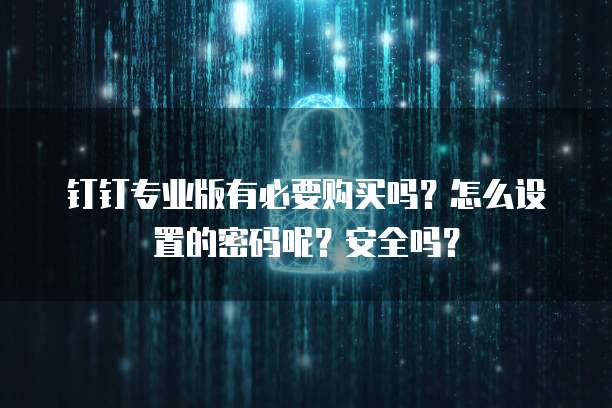 钉钉专业版有必要购买吗?怎么设置的密码呢?安全吗?