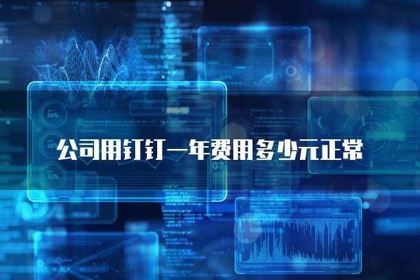 公司用钉钉一年费用多少元正常