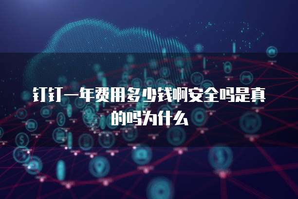钉钉一年费用多少钱啊安全吗是真的吗为什么