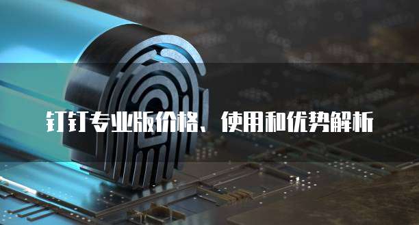 钉钉专业版价格、使用和优势解析