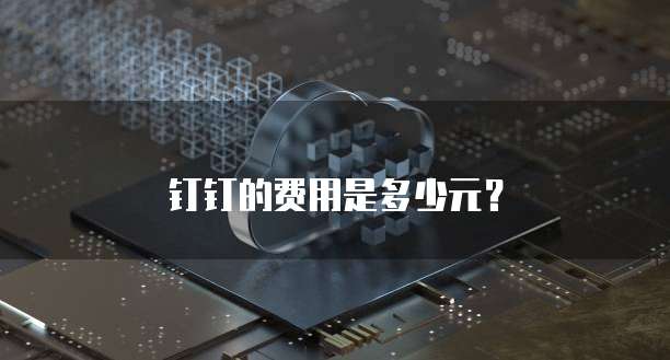 钉钉的费用是多少元？