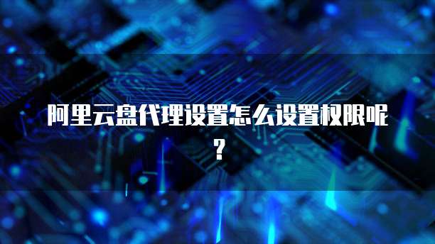 阿里云盘代理设置怎么设置权限呢?