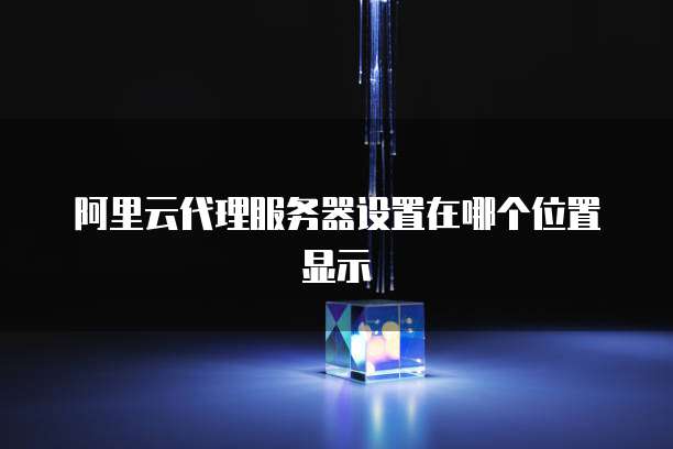 阿里云代理服务器设置在哪个位置显示