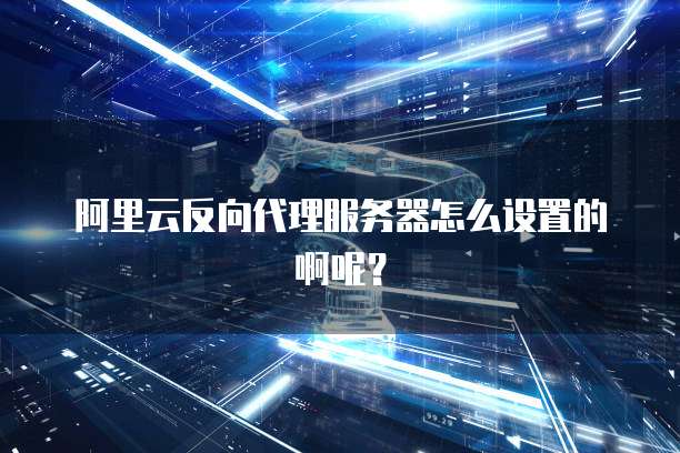 阿里云反向代理服务器怎么设置的啊呢?