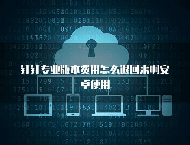 钉钉专业版本费用怎么退回来啊安卓使用