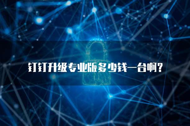 钉钉升级专业版多少钱一台啊?