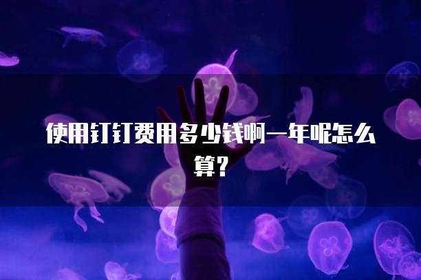 使用钉钉费用多少钱啊一年呢怎么算?