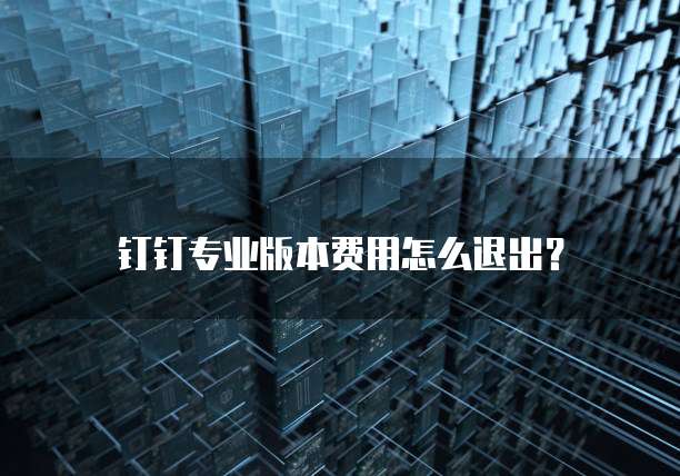 钉钉专业版本费用怎么退出?