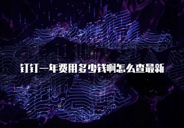 钉钉一年费用多少钱啊怎么查最新