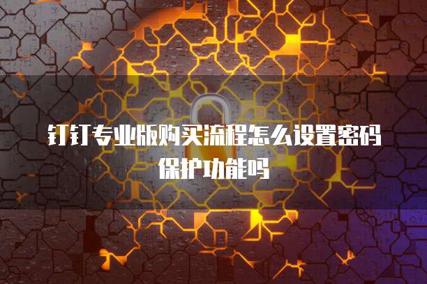钉钉专业版购买流程怎么设置密码保护功能吗