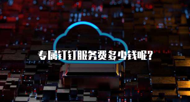专属钉钉服务费多少钱呢？