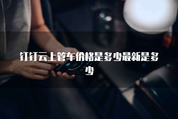 钉钉云上管车价格是多少最新是多少