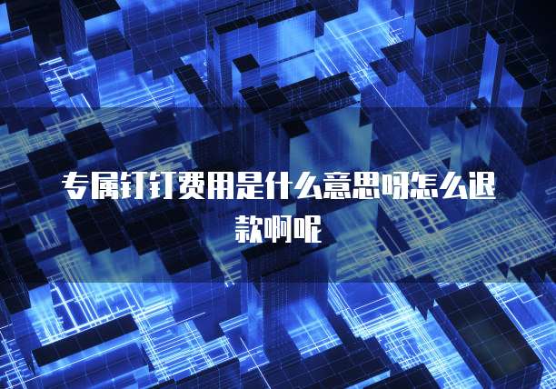 专属钉钉费用是什么意思呀怎么退款啊呢