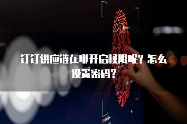 钉钉供应链在哪开启权限呢?怎么设置密码?