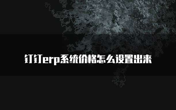 钉钉erp系统价格怎么设置出来