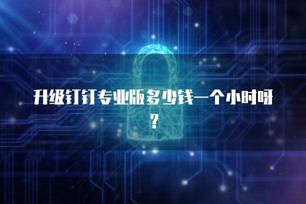 升级钉钉专业版多少钱一个小时呀?