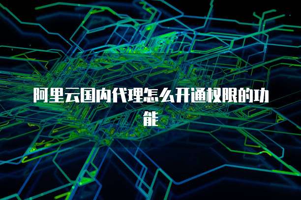 阿里云国内代理怎么开通权限的功能