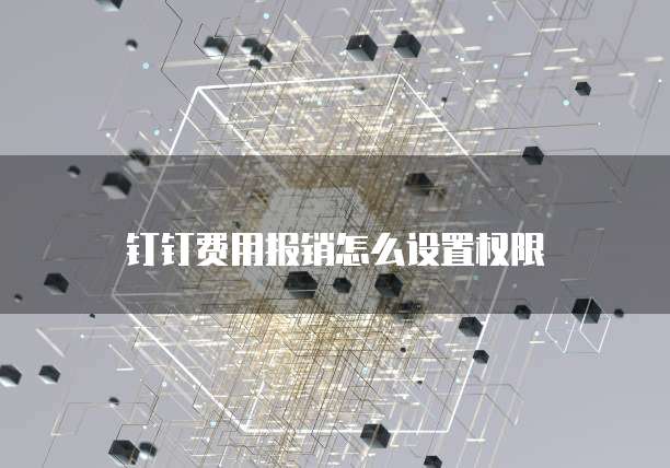 钉钉费用报销怎么设置权限