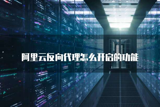 阿里云反向代理怎么开启的功能