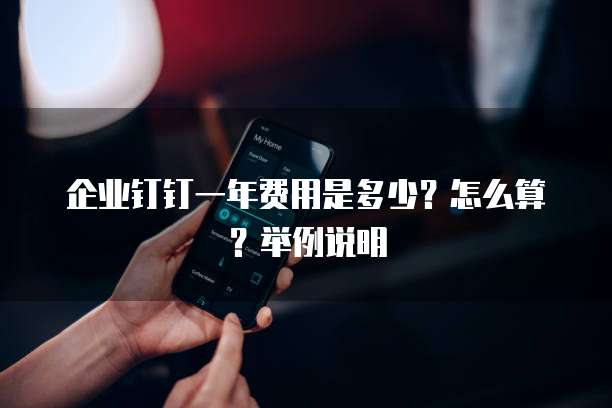 企业钉钉一年费用是多少?怎么算?举例说明
