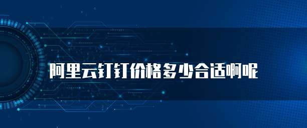 阿里云钉钉价格多少合适啊呢