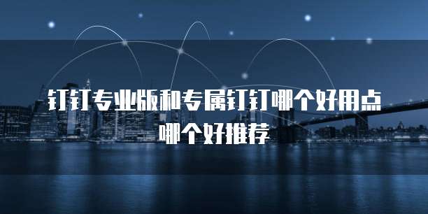 钉钉专业版和专属钉钉哪个好用点哪个好推荐