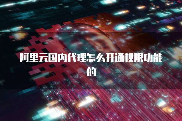 阿里云国内代理怎么开通权限功能的