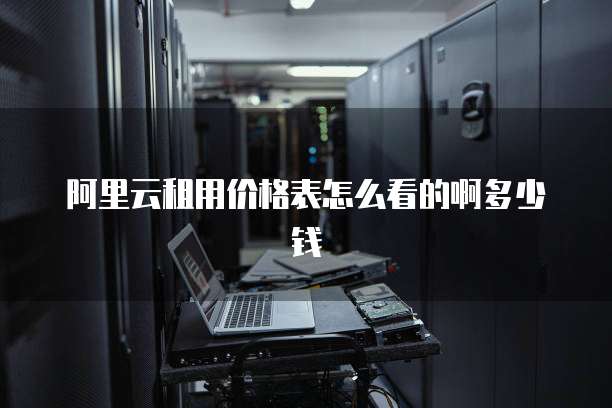 阿里云租用价格表怎么看的啊多少钱